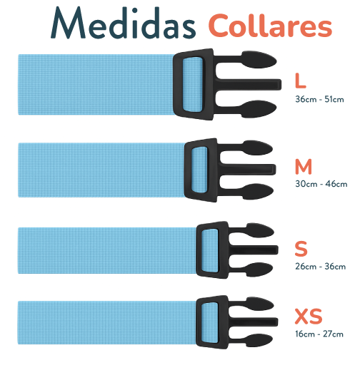 Collar Salvaje y Sofisticado