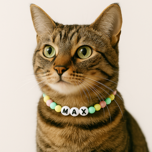 Collar PomPom Miaw