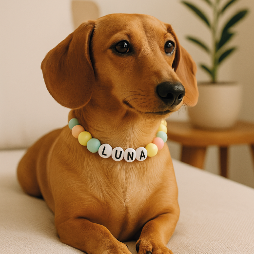Collar PomPop Guau XS-S
