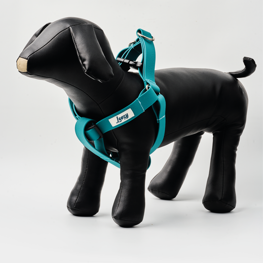 Pechera Ocean Teal